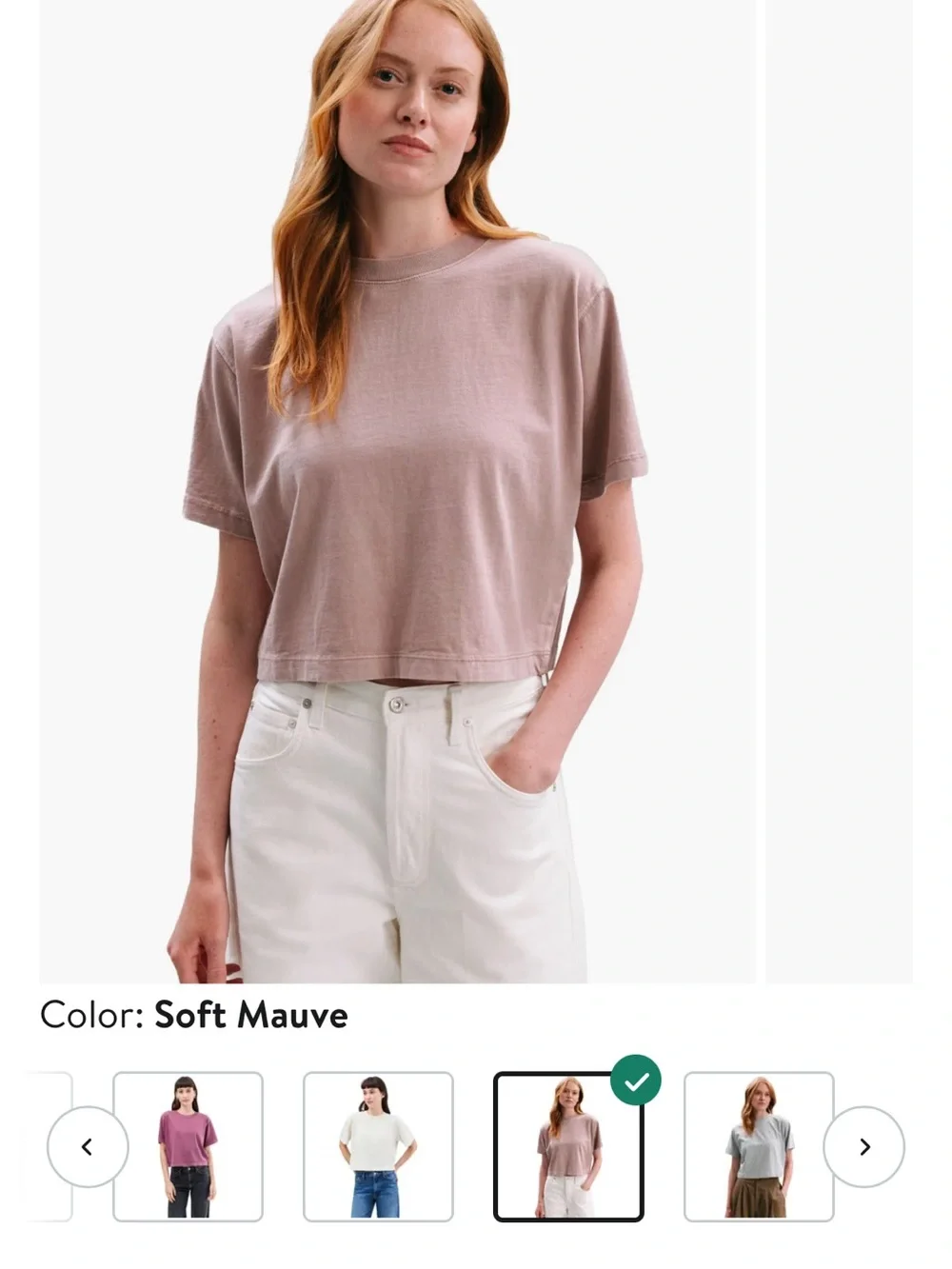 Relaxed Crop Tee- Richer Pooper XL